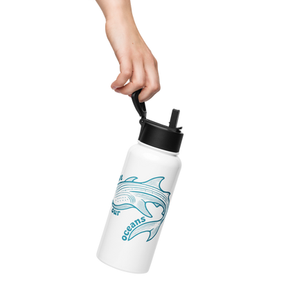 Stainless steel water bottle