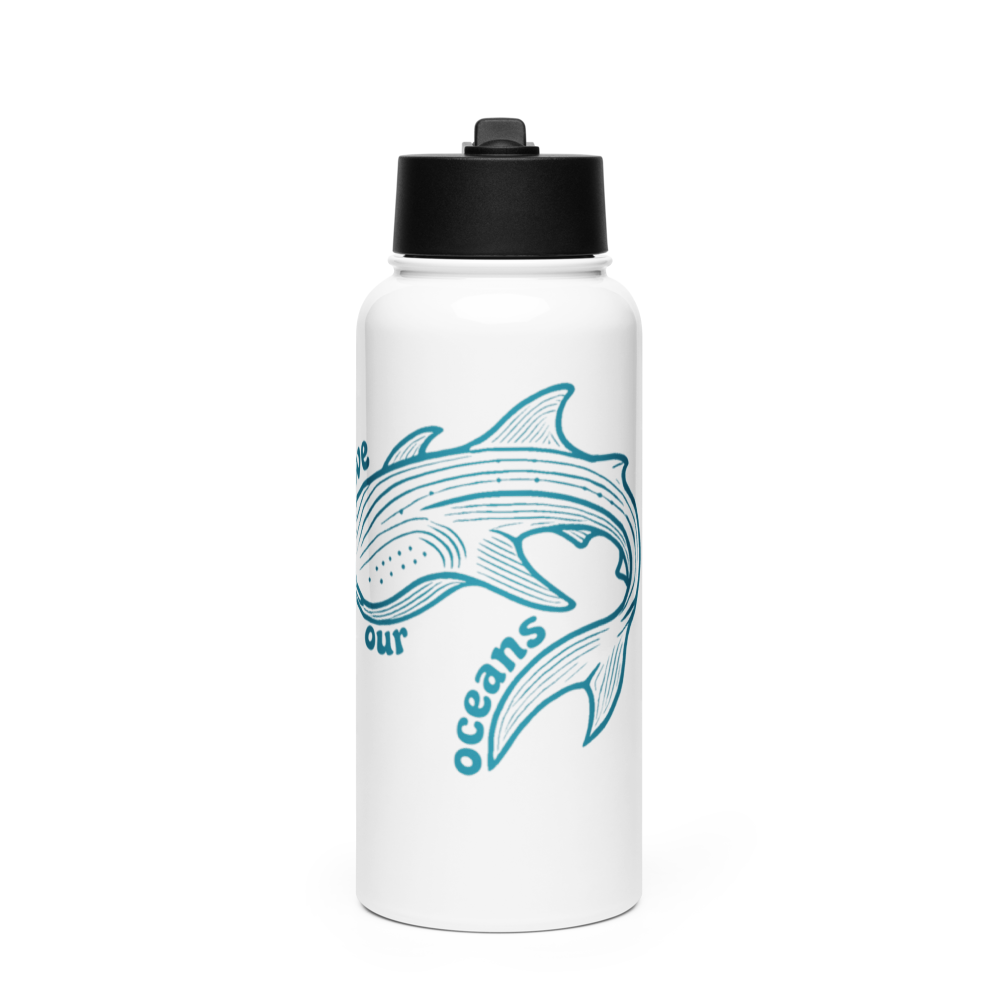 Stainless steel water bottle