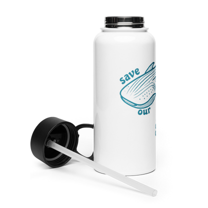 Stainless steel water bottle